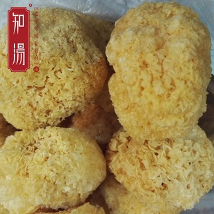 �����y�� ѩ��ɢ�b���l�S��� ���|���������l