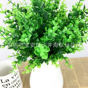�S��ֱ�N ���N����ˮ�� 7����̖�ȼ��� ���滨 �b�Ʒ�ٻ�