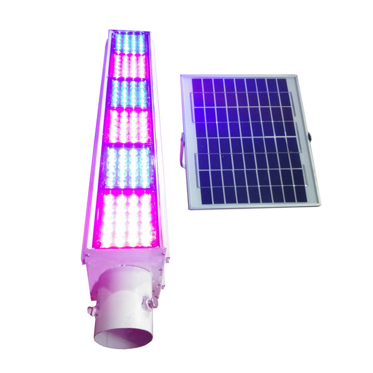 竖装的6组双面太阳能爆闪灯 太阳能LED 红蓝爆闪警示灯