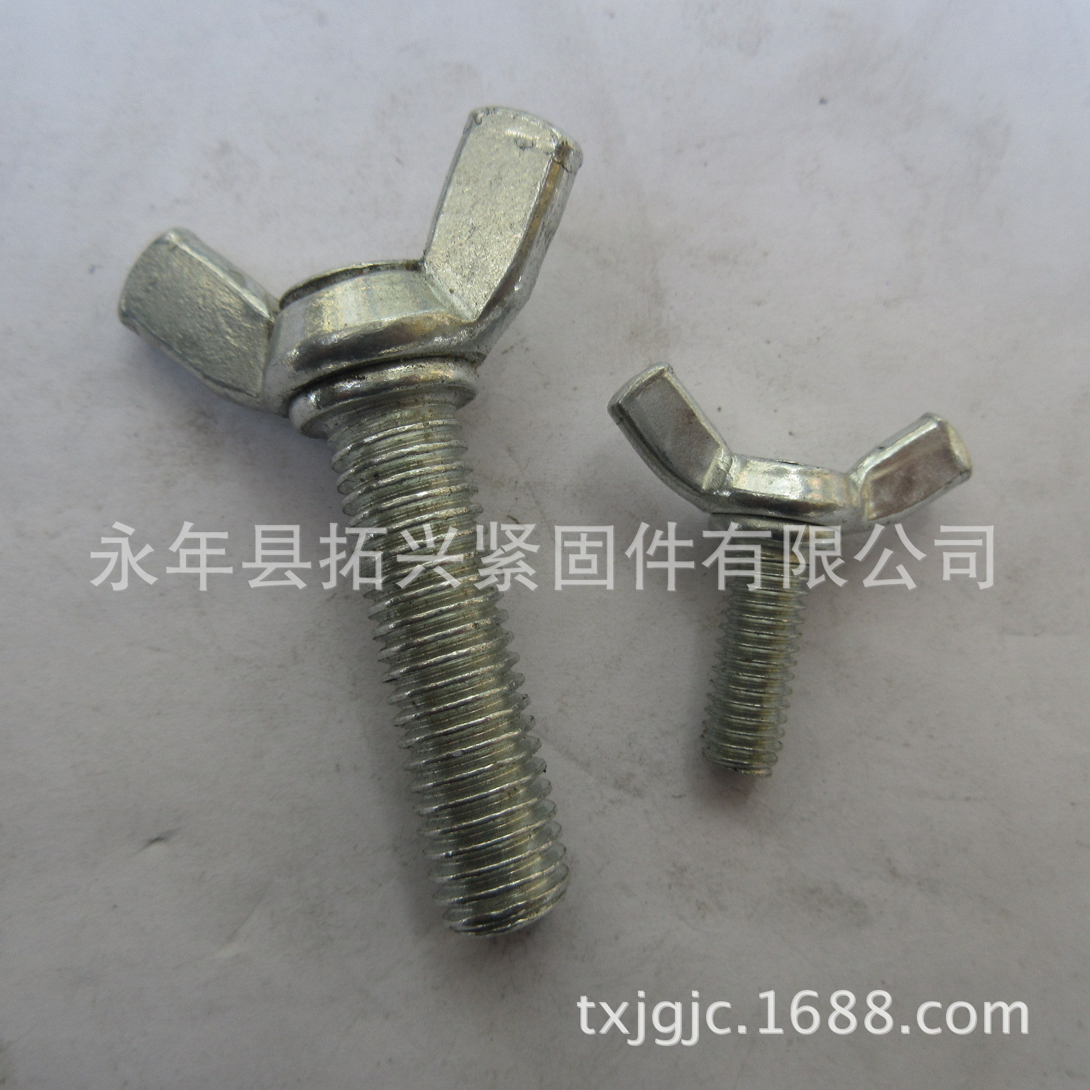 厂家直销 国标镀锌羊角螺栓 手拧螺丝 蝴蝶螺栓 元宝螺丝 蝶形栓