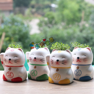 ��ؔ؈���^���ބ���Gֲ ����ֲ����������ֲ�﹤ˇƷ����Y��