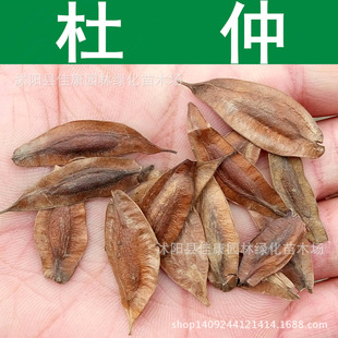 ��ľ�N�� ���ٷN�� �ޘ�Ƥ �z鬘�Ƥ �z��Ƥ �z��N�� 1��=1��