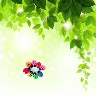 ��������Сư�x  ��ɫСư�x  7ɫ���x����ľľ�ƿɐ�