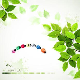 ��������Сư�x  ��ɫСư�x  7ɫ���x����ľľ�ƿɐ�