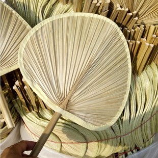 Banana Fan Summer Fan Old-fashioned Sunflower Fan 5 yuan Store Stall Home Daily Commodities Fair Big Cattail Fan