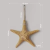 Stars (yellow)