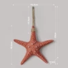 Starfish (orange)