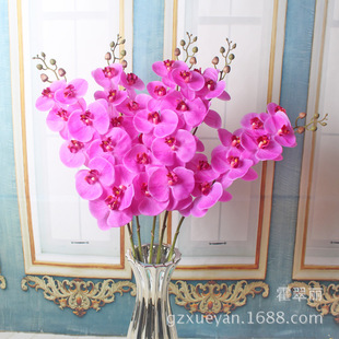 ��������m�ָб�����滨 �����m�������l�ָмٻ�����������m