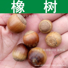 ��ľ�N�� ���N�� ��� ���� ���� ����N�� 1��=1��