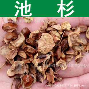 ��ľ�N�� ��ɼ�N�� �ذ� �������ɷN�� 1��=1��