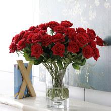 SaN 滨õ cٻ Ҿb  xl