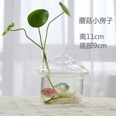 Florero de vidrio hecho a mano creativo sala de estar decoración arreglo floral transparente flor hidropónico dispositivo hogar jardinería Decoración