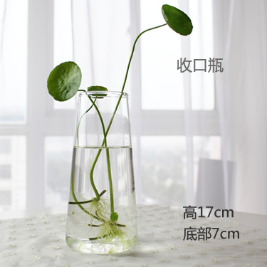 Florero de vidrio hecho a mano creativo sala de estar decoración arreglo floral transparente flor hidropónico dispositivo hogar jardinería Decoración