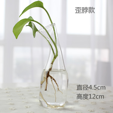 Florero de vidrio hecho a mano creativo sala de estar decoración arreglo floral transparente flor hidropónico dispositivo hogar jardinería Decoración