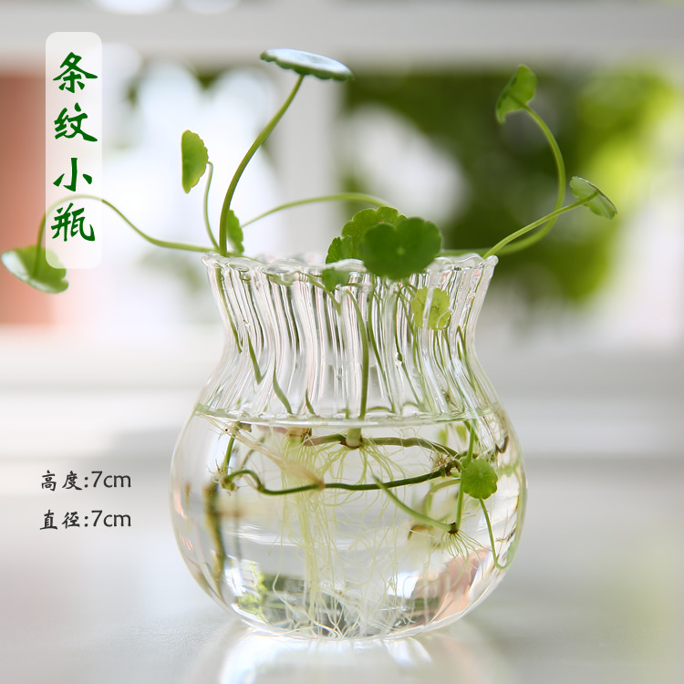 Florero de vidrio hecho a mano creativo sala de estar decoración arreglo floral transparente flor hidropónico dispositivo hogar jardinería Decoración