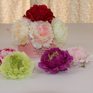 �����_��ĵ�����^ ��c����DIY�����^���������� �zӰ����