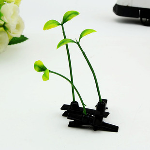 �M���u������С�ݰl�A��ѿ���^���L�ݰl�Aֵ���L�ݷ��昕���^��