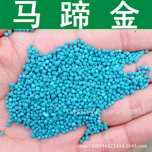 ��ƺ�N�� �R���N�� �R������ ���X�ݷN�� 1��=1��