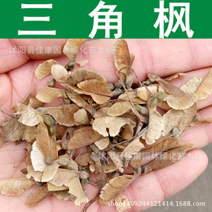 ��ľ�N�� ���Ǘ��N�� �����ʷN�� ����N�� 1��=1��