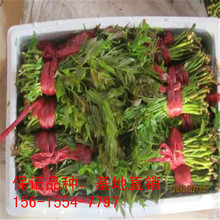 �����㴻����r��  �t���㴻��r��  С�㴻����  ����ֱ�N