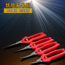 �����R�dϡ�������Ѳɹ������ټ������߹�������r�����@����ժ��