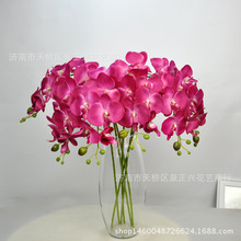 7�^�����m���滨�ٻ���c�ҾӔzӰ�����Ƶ��b��Ԍ��羳؛Դ