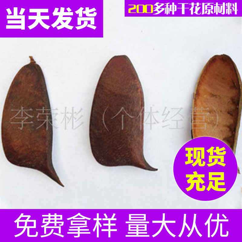 牛角豆音符豆大刀果乾干花diy材料包花材摆件真永生花束干花批发