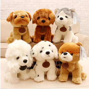 ������̩ؐ�Ϲ�ë�q��߰��c������Ȯ��ʿ�湫��ץ�C���ރ�ͯ���