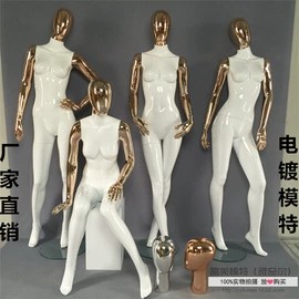 模特;其它服装展示