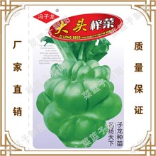 �T�����N�繫˾ֱ�����������طNֲ�߲˷N�� ���^ե��