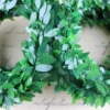 Green leaflets 1.5cm