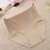 Embroidered camel