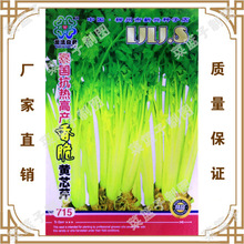 蔬菜种子冯子龙厂家直售批零四季种植 泰园奈热高铲香脆黄芯芹715