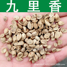 ������N�� ʯ�����N�� ������ �Ř��� ������N�� 1��=1��