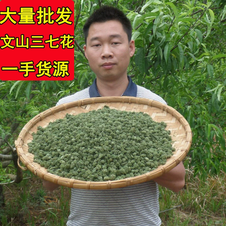 2025 Новые в этом году цветочные поля Panax notoginseng и семь цветов Юньнань Wenshan 2 года 3 года 4 года Чай Panax notoginseng flower house Panax notoginseng flower