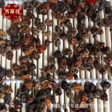 批发冷背中药材沙棘 醋柳 黄酸刺 酸刺柳 黑刺 酸刺