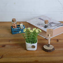 Zakka�s؛ �Wʽ��@�GɫС�ױ����� ������ĭ�� �Ҿ��bS��ֱ�N