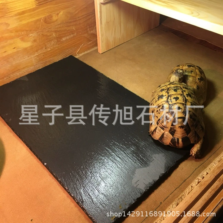 Гекконы-рептилии черепаха сланец грызение ногтей скалистый reptile отдых терраса аквариум украшение камень ландшафт