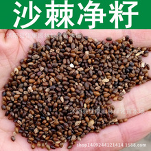 СɳN   S ̻h ɳN 1=1