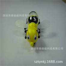 ̫����������  �ƽ����  ̫����۷�