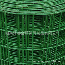 ���m�W�Bֳ���o�W���u�F�z�WȦ�ع��@���܇���