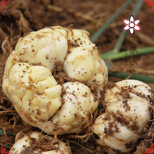 2025��؛�����خa��ɽ�ٺ�șʳ���þ����r�ٺϷN���r&middot;���^��