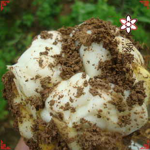 2025��&ldquo;һ���H&rdquo;������ɽșʳ�����r�ٺϷN����m�ݰٺϡ���