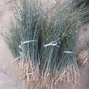 �M��0.4�����ך��� �������������� �޽��۽���ĸ��