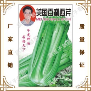 ������������ �T�����N���߲˷N�ӏS��ֱ�����������ش����ļ�