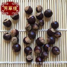批发中药材龙眼核 圆眼核 桂圆核仁