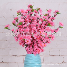 �����һ�������֦�bٻ� �͏d�[�O�b� �һ�֦�������ϻ����l