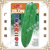 Feng Zilong Seedlings directly sells Zero Daitian base to plant vegetable seeds, Hainan Da Su No. 2 bitter gourd