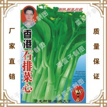 蔬菜种子厂家直售批零大田大棚基地菜园阳台四季种植香港石排菜心