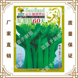 �¼���60����~��G���� ϲ���N�繫˾ֱ��������طNֲ�߲˷N��